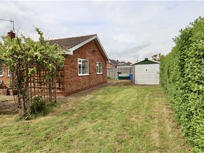 Picture 14